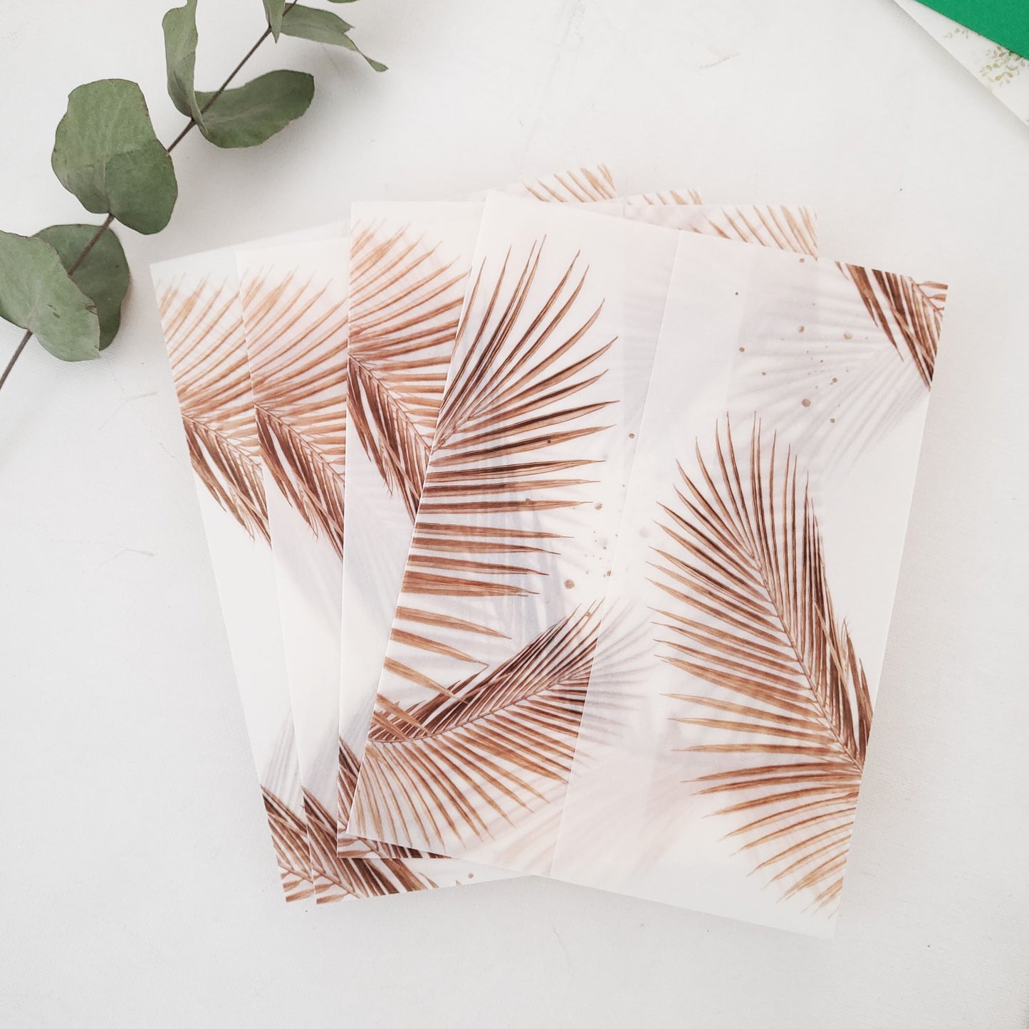 nude vellum jacket for wedding invitations - XOXOKristen