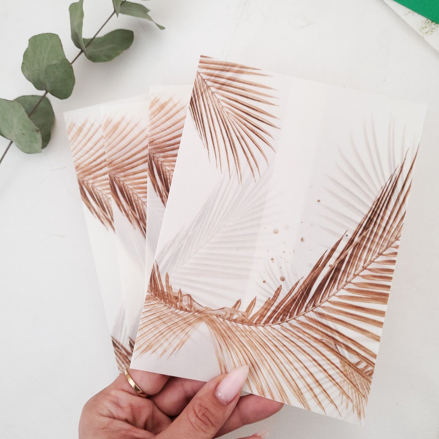 nude vellum jacket for wedding invitations - XOXOKristen